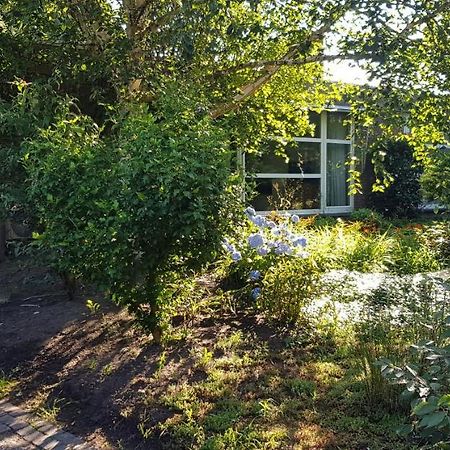 Vakantiehuis Salamander Maasmechelen Luaran gambar
